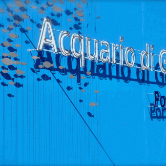 ACQUARIO DI GENOVA Genova